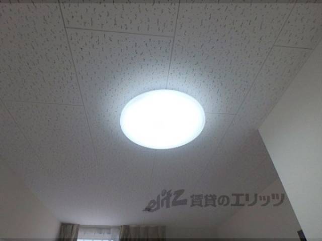 照明