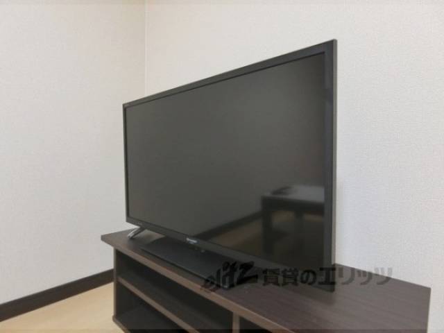 テレビ