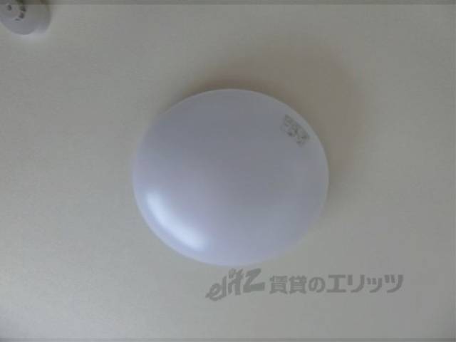 照明