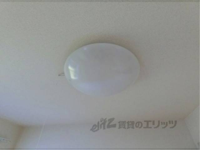 照明