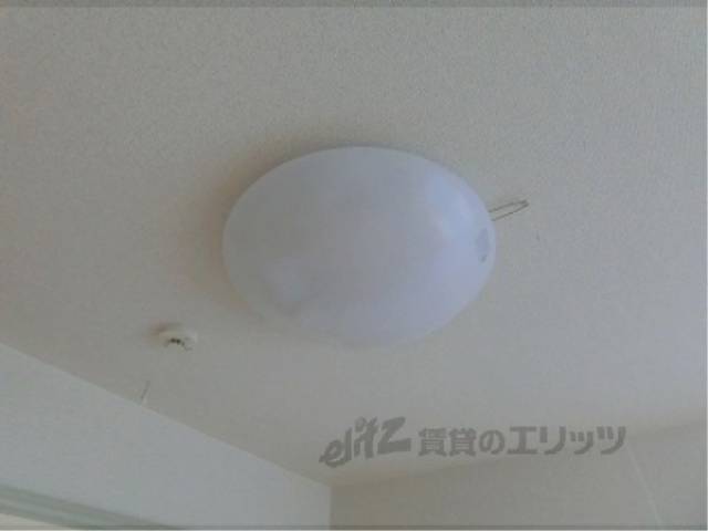 照明