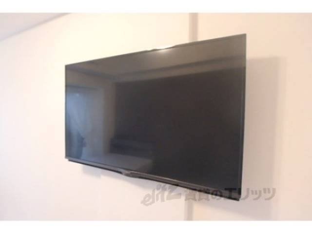 テレビ