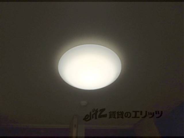 照明