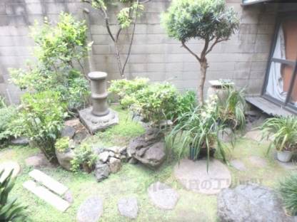 庭
