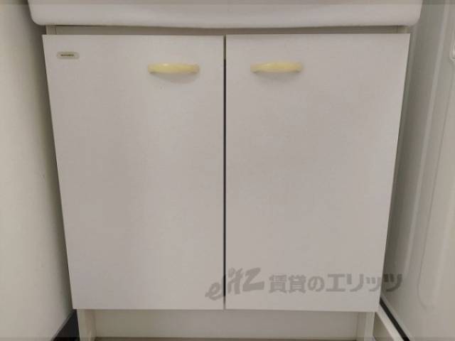 収納　洗面所下