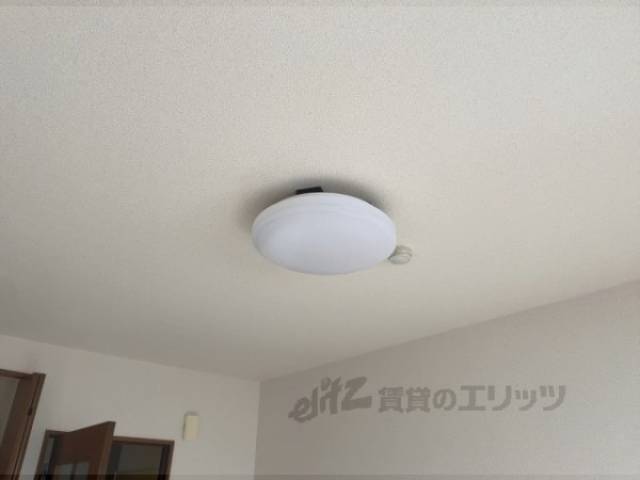 照明