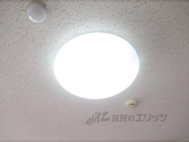 照明