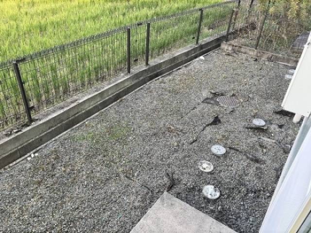 テラス