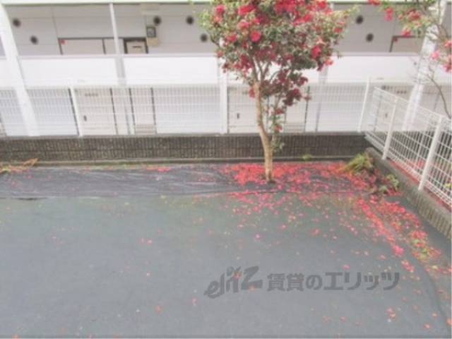 庭