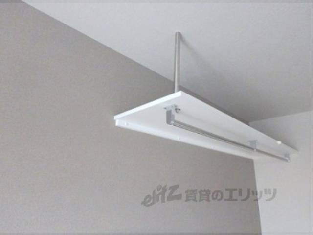 棚
