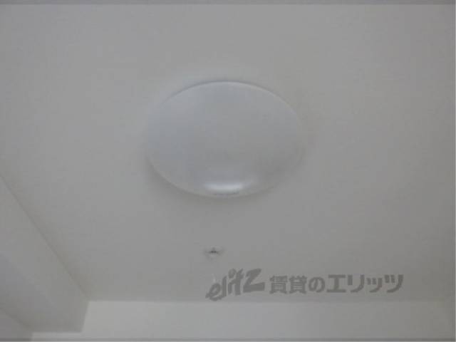 照明