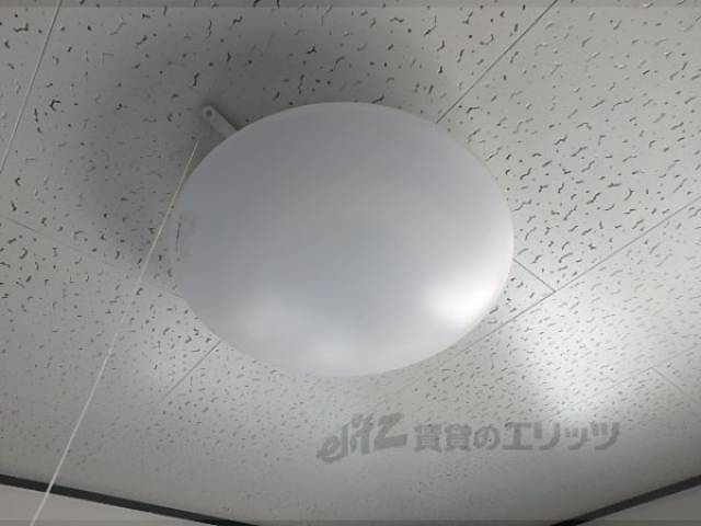 照明