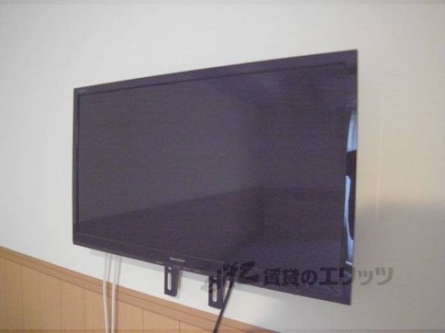 テレビ