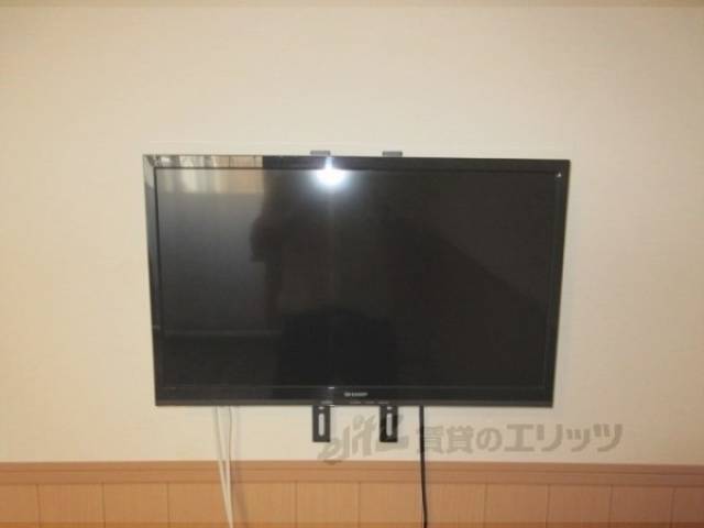 テレビ