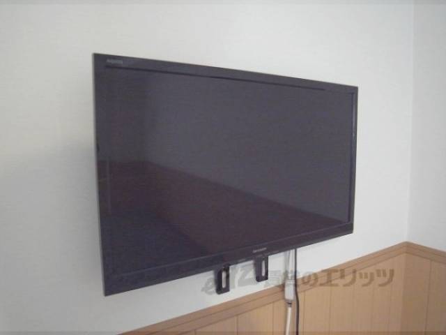 テレビ