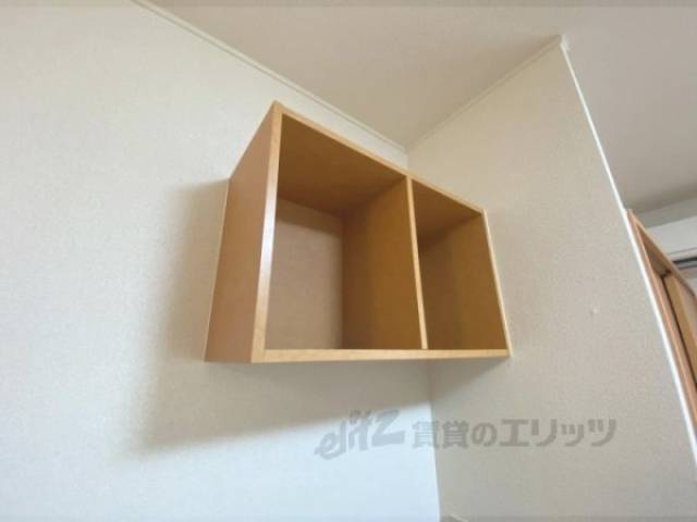棚