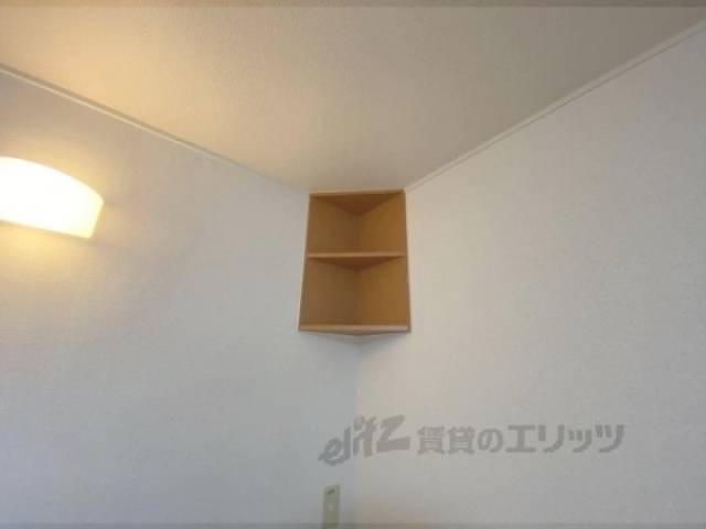 棚
