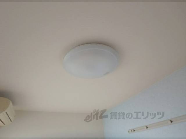 照明