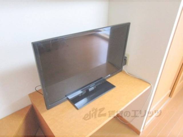 テレビ