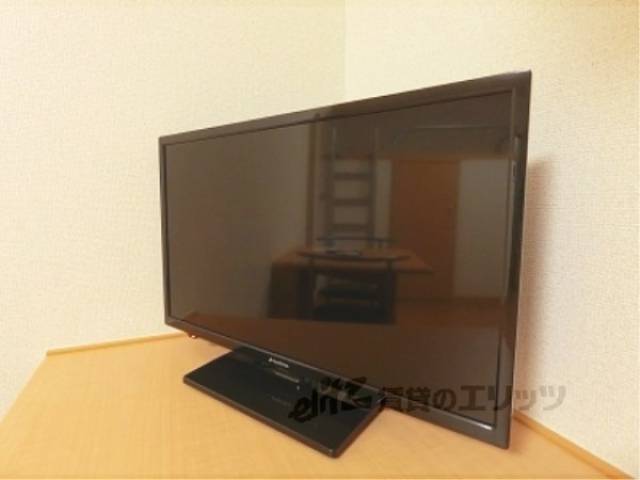 テレビ