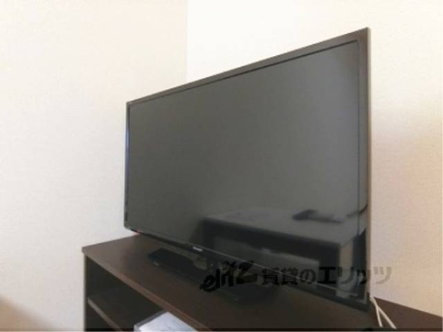 テレビ