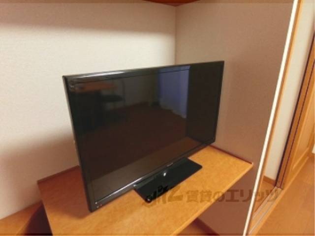 テレビ