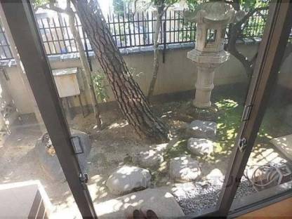 庭