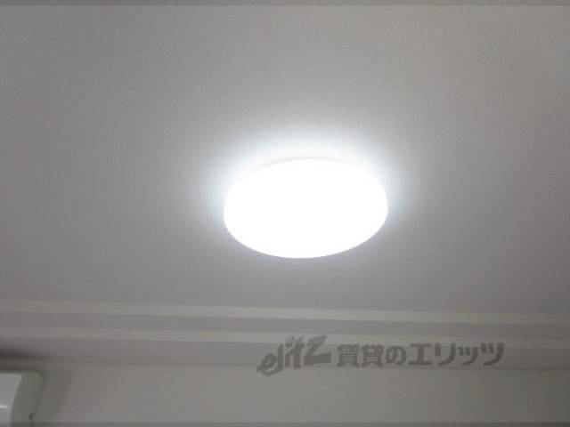 照明