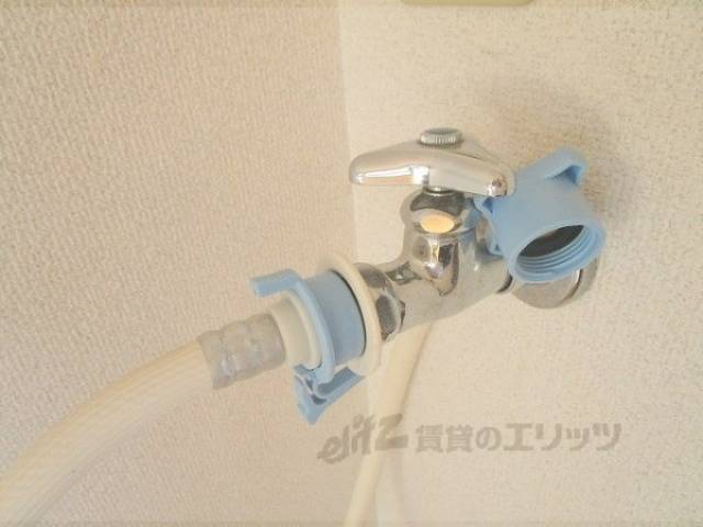 蛇口