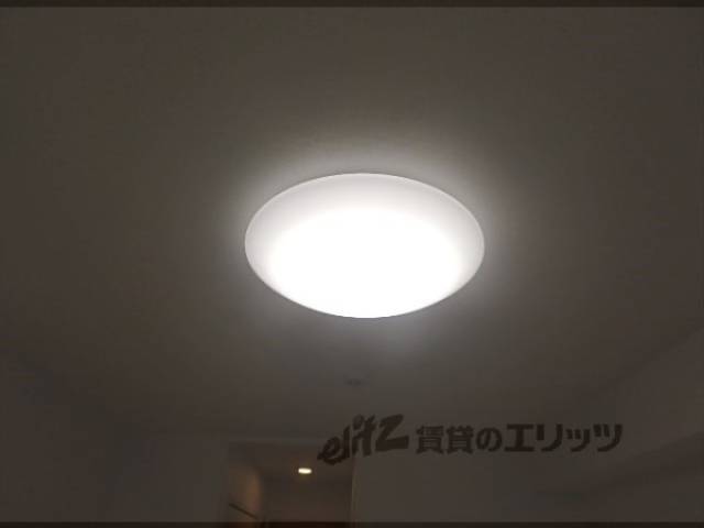 照明