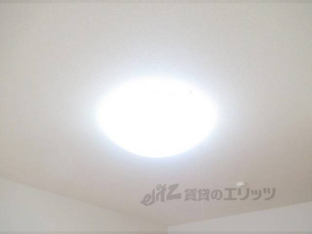 照明