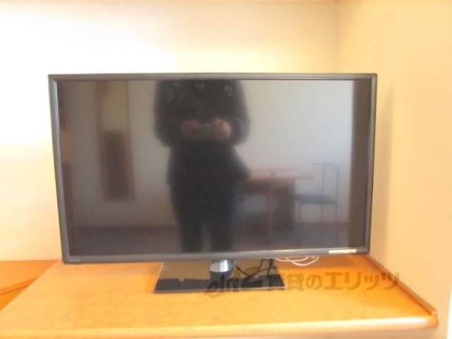 テレビ