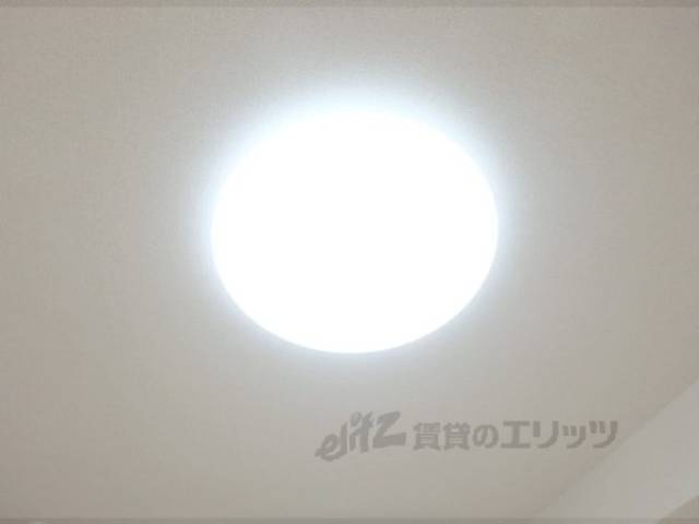 照明
