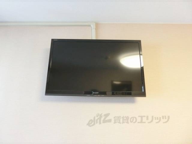 テレビ