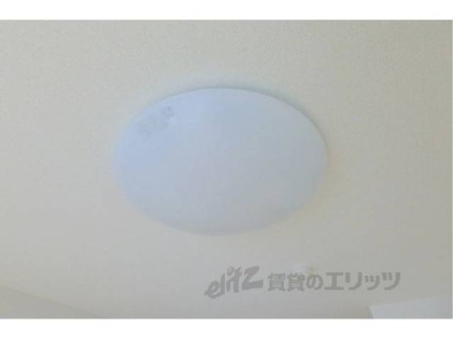 照明