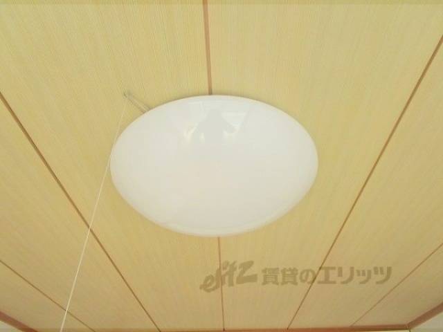照明
