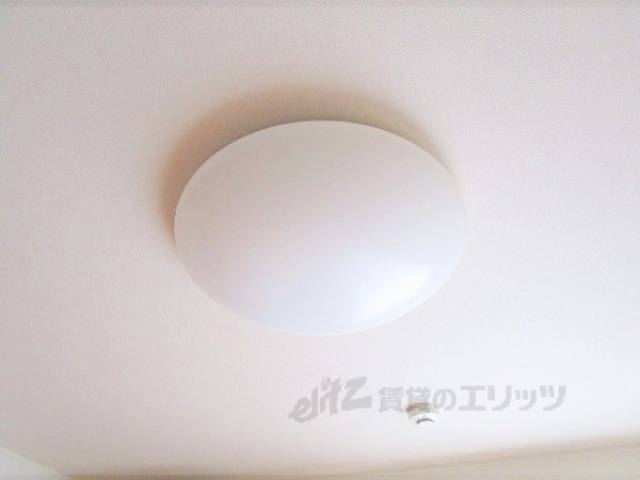 照明