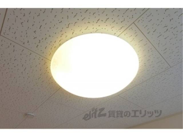 照明