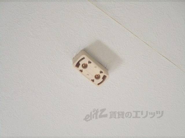 照明