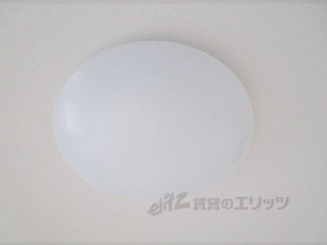 照明