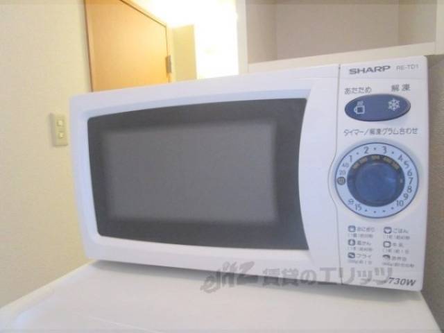 電子レンジ