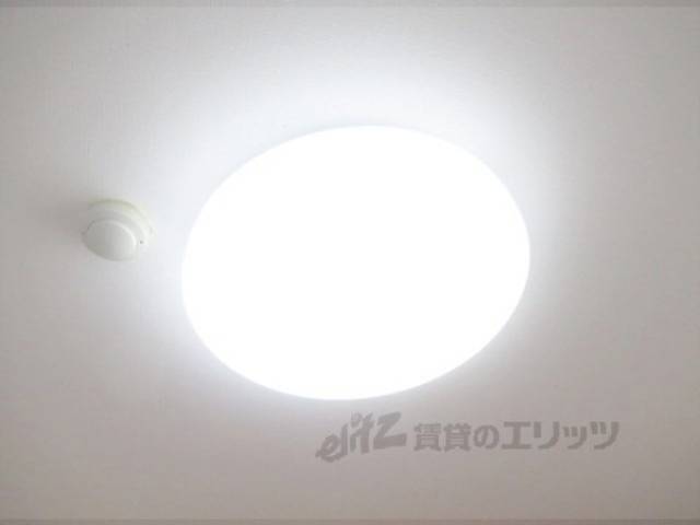 照明