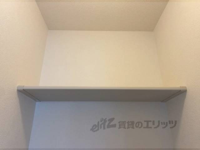 棚