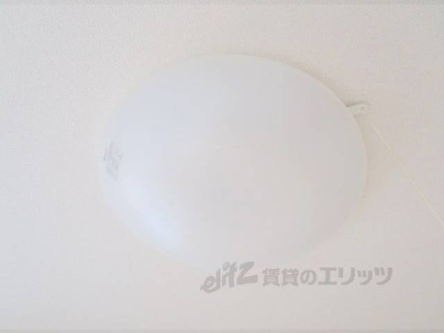 照明