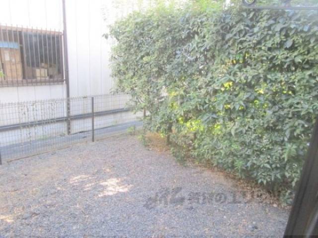 庭