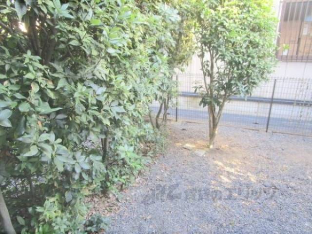 庭