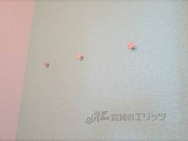 フック