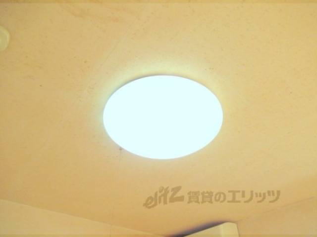 照明