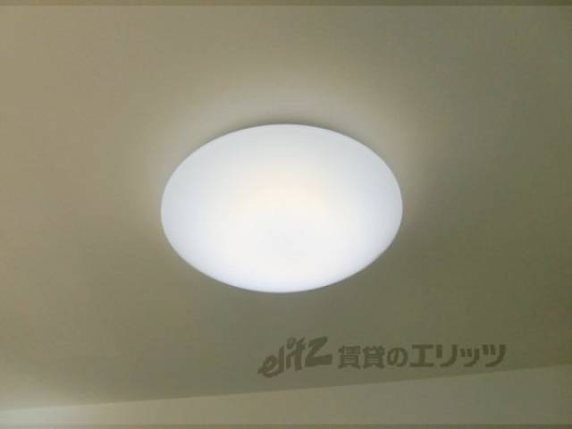 照明