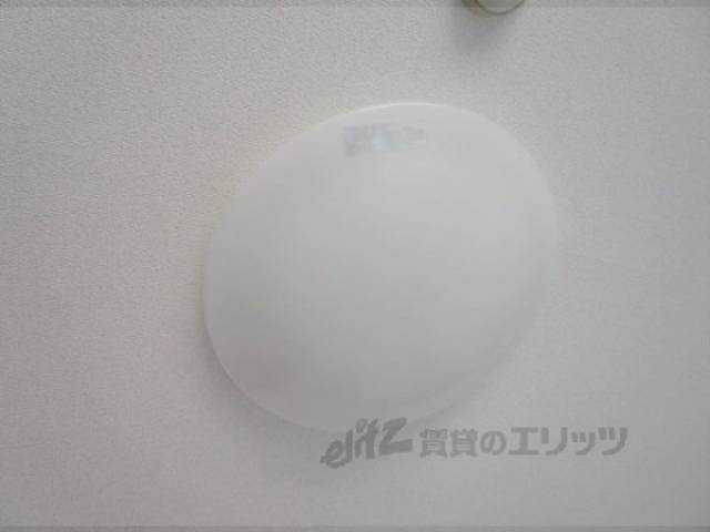 ライト